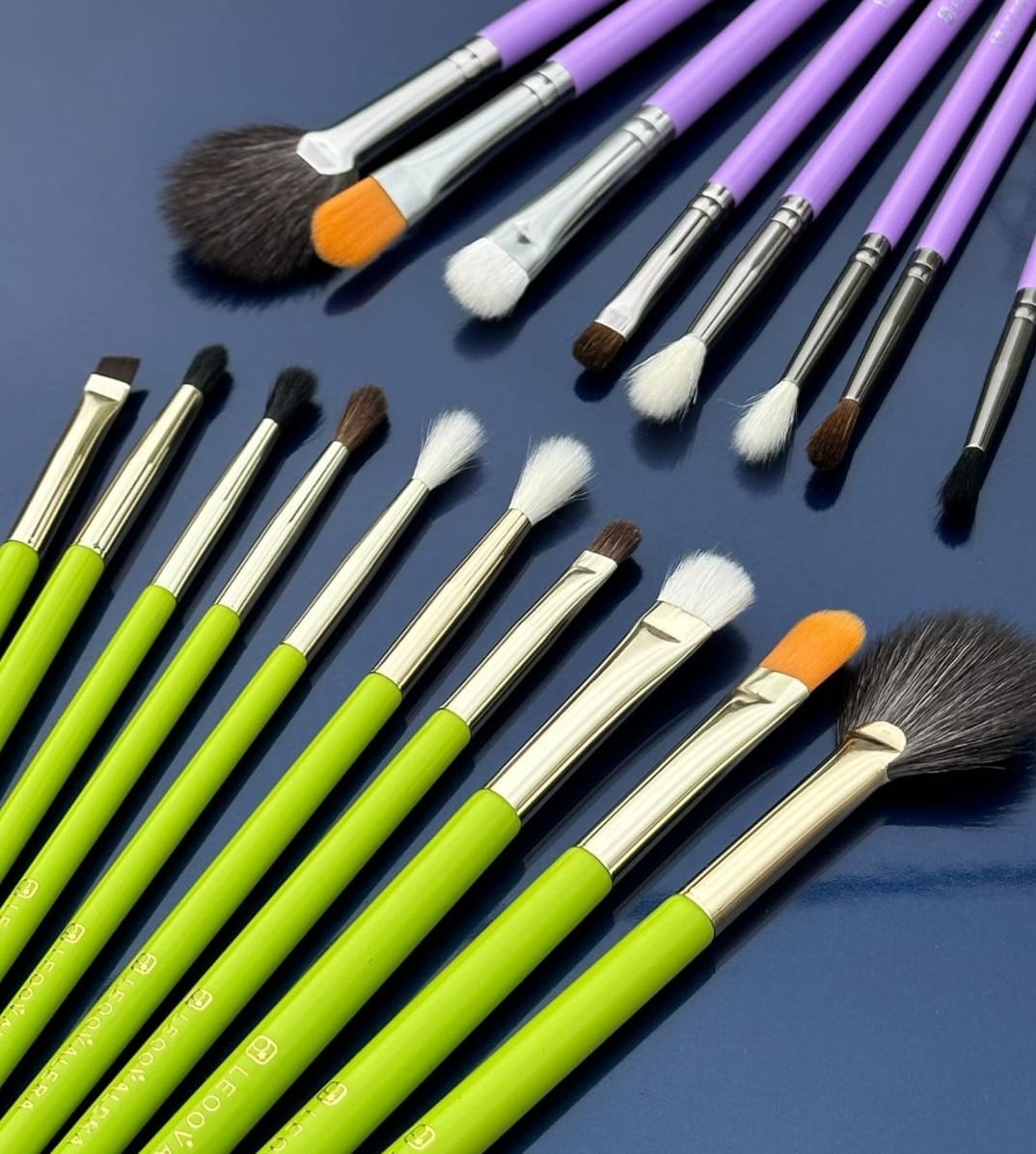 Set de 10 Brochas Leo Valera